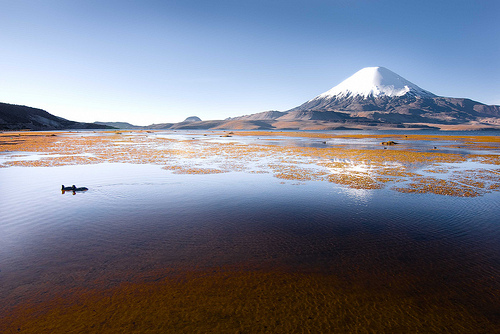 Viaje al sorprendente lago Chungará