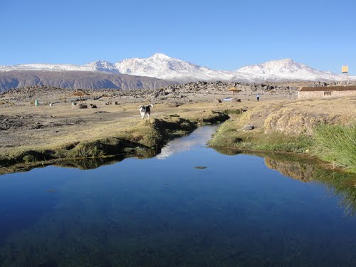 Lago Chungará la gran maravilla de la naturaleza