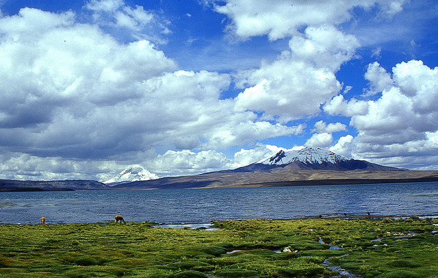 La majestuosidad del Altiplano en medio del Lago Chungará