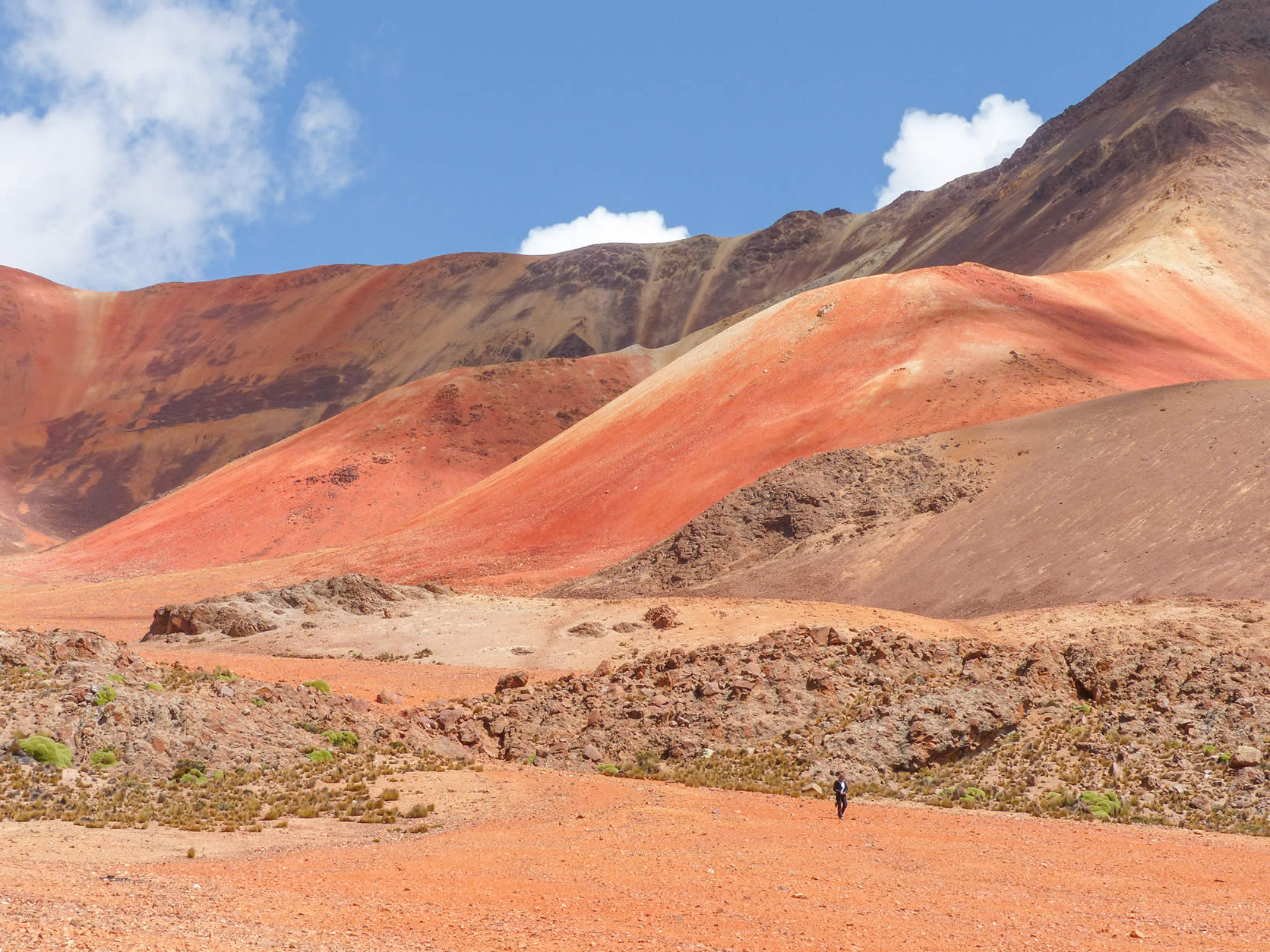 Suriplaza - Paisaje prístino del Altiplano