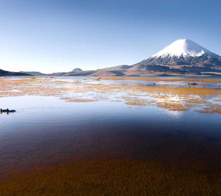 Viaje al sorprendente lago Chungará