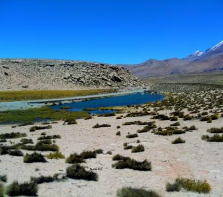 Senderismo en pleno Altiplano. Parque Nacional Lauca