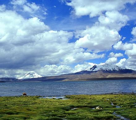La majestuosidad del Altiplano en medio del Lago Chungará