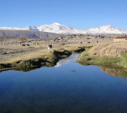 Lago Chungará la gran maravilla de la naturaleza
