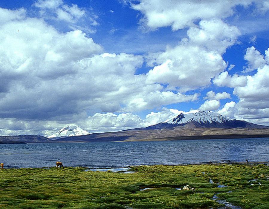 La majestuosidad del Altiplano en medio del Lago Chungará