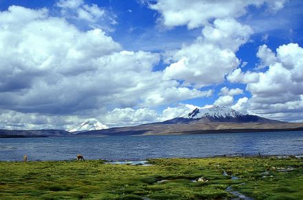 La majestuosidad del Altiplano en medio del Lago Chungará