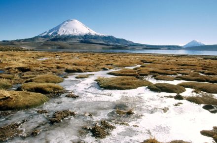 Lago Chungará Altiplano de Chile