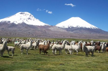 Lago Chungará, Chile