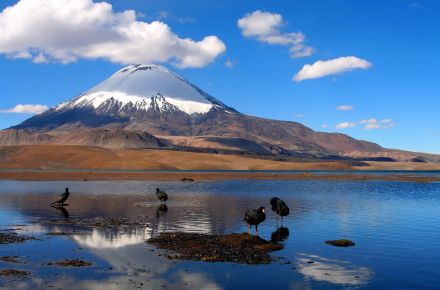 Lake Chungará. The reflection of a treasure