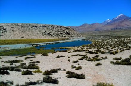 Senderismo en pleno Altiplano. Parque Nacional Lauca