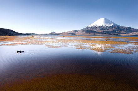 Viaje al sorprendente lago Chungará