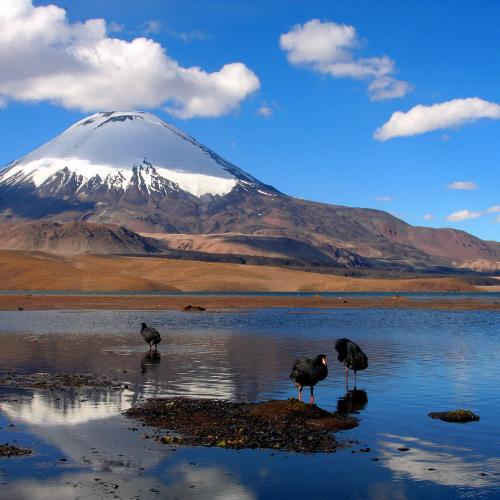 Lago Chungará