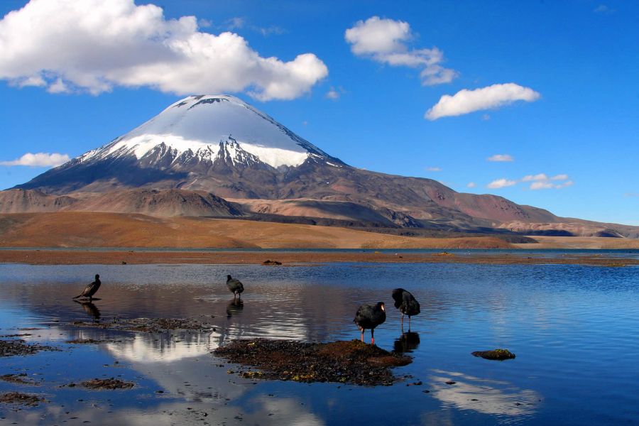 Tour Parc National Lauca