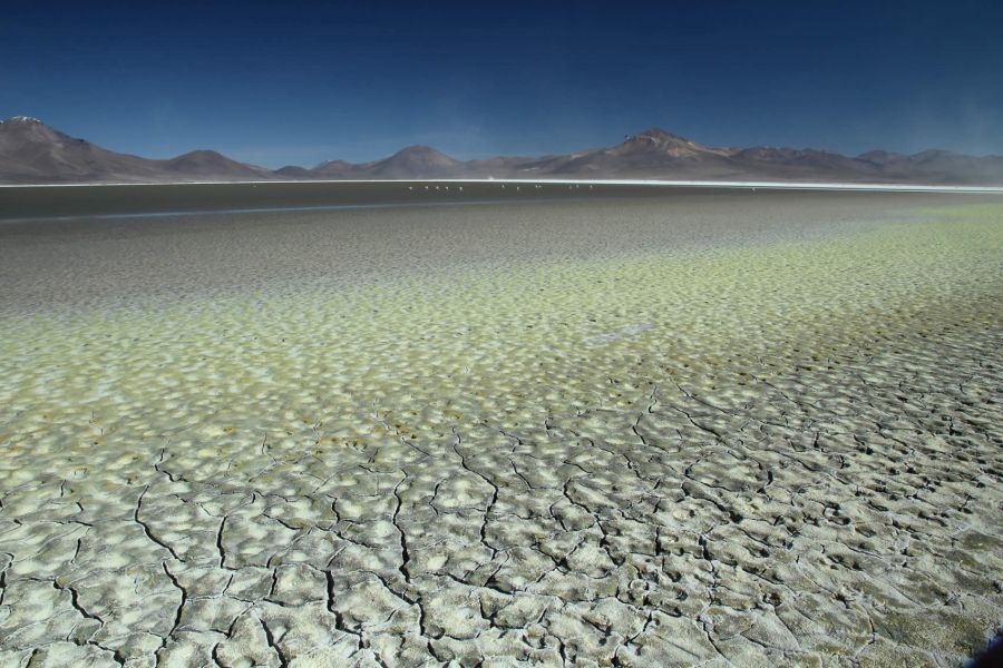 Tour Majestueux Altiplano