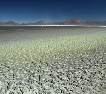 Tour Parc National Lauca