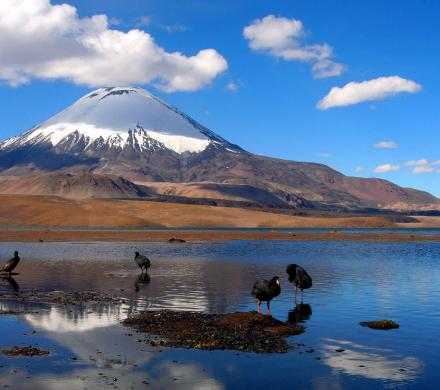 Tour Lac Chungará